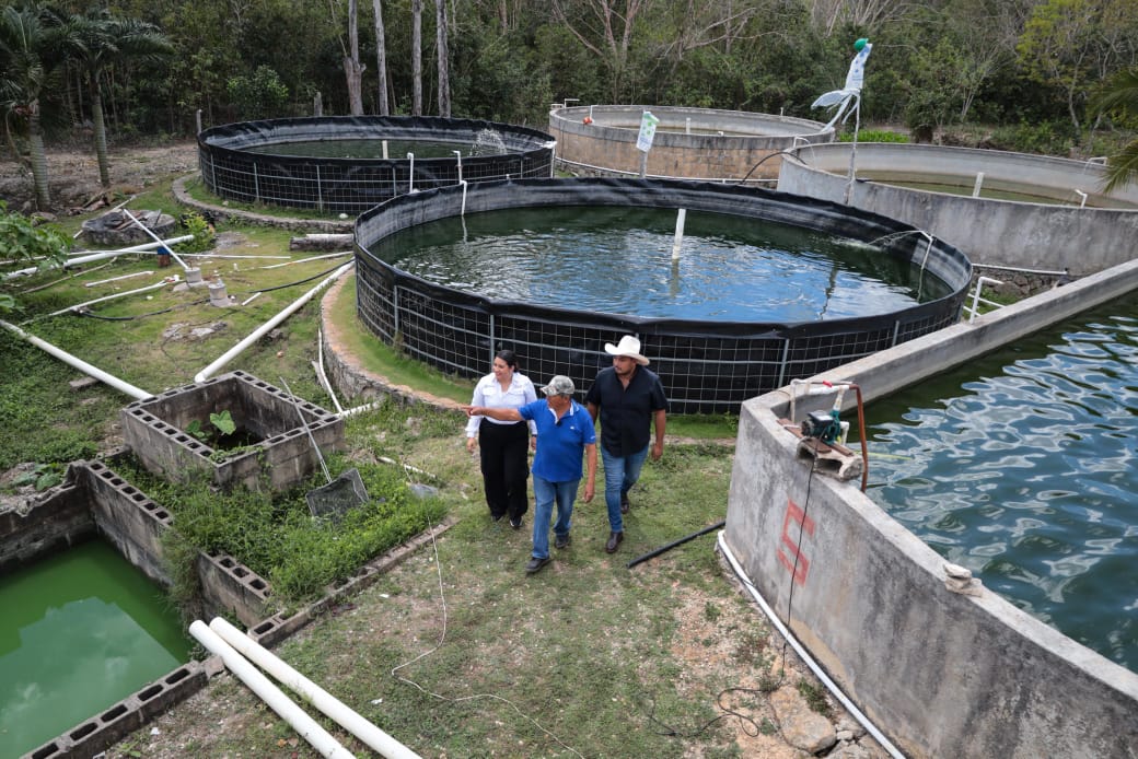 Fortalecen el potencial del sector productivo de Playa del Carmen